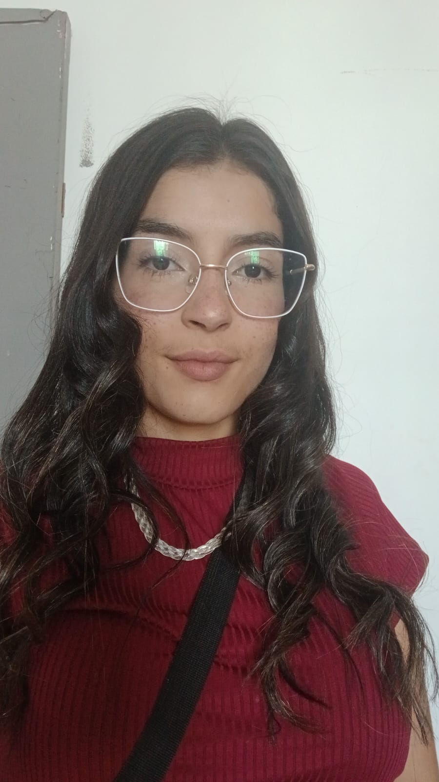 Ana Laura Guimarães