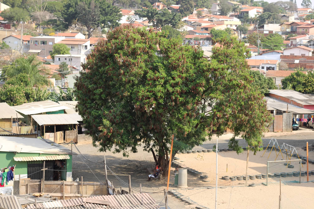 Foto do Primeira fase